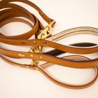 Luxury leather padded leads