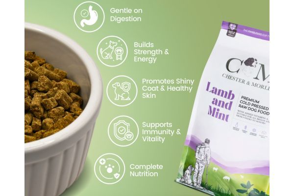 CHESTER AND MORLEY LAMB & MINT