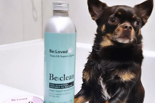 Be:Clean Pet Shampoo