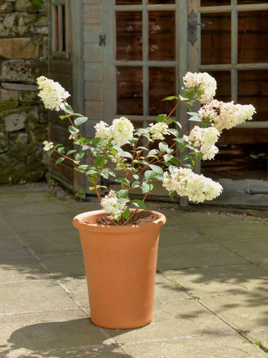 Yorkshire Flowerpots Tall Flowerpot