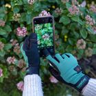 Feverfew Women's Gardening Gloves - Evergreen