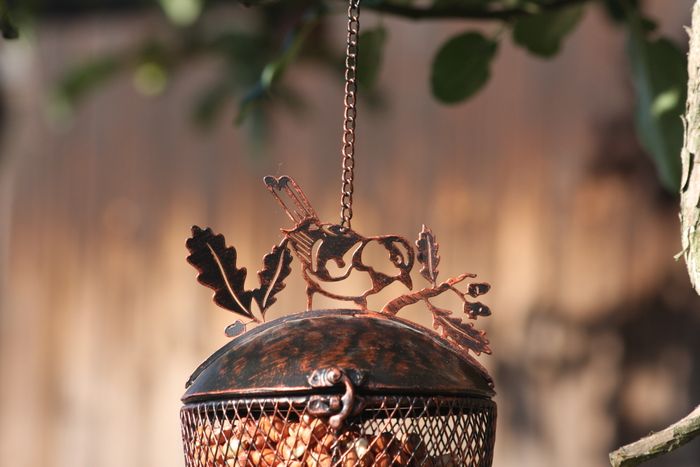 Acorn Birdfeeder with Bluetit