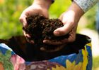 Multi-Purpose Compost 50L