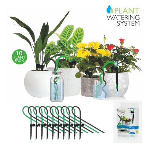 Indoor Plant Water Kit - 10 pack