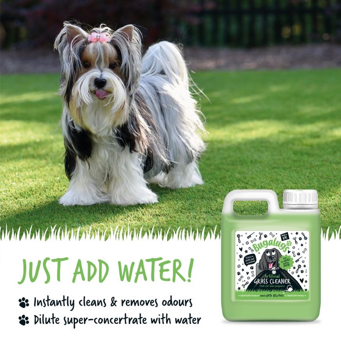 Artificial Grass Cleaner