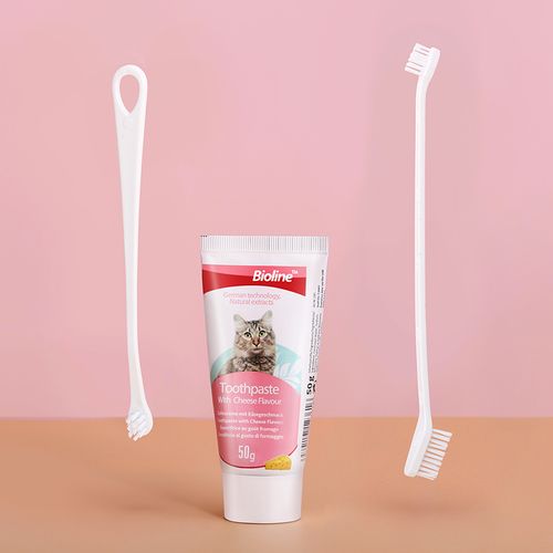 25620 Toothpaste kit with cheese flavor for cats