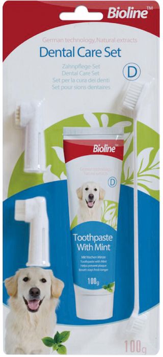 2094 Dental care kit-mint flavor