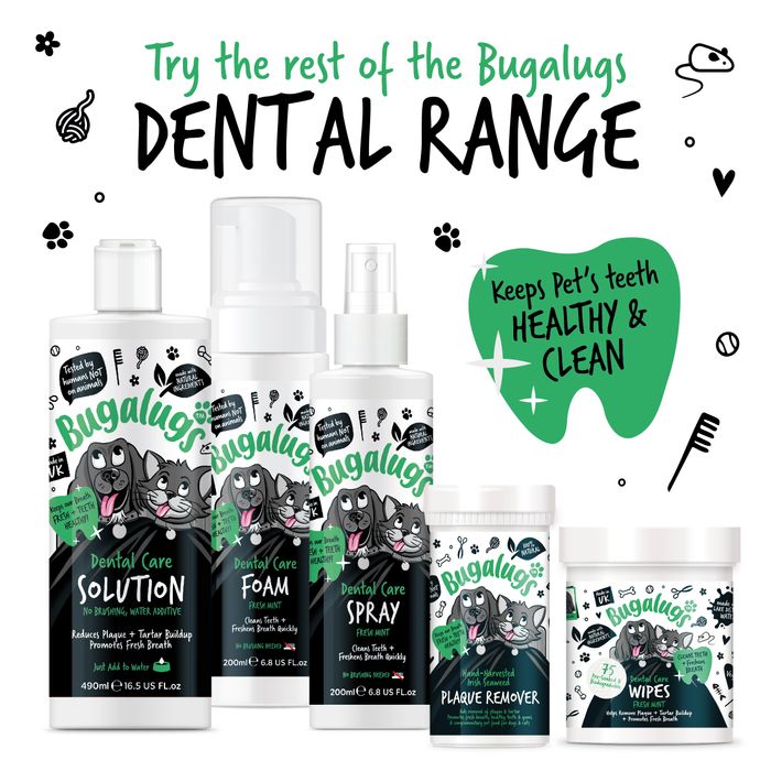 Dental Care Range