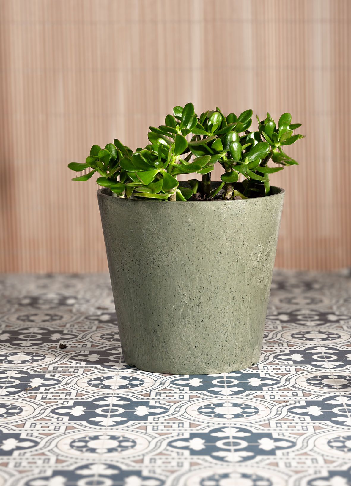 NEW - Tierra Verde Coloured Planters