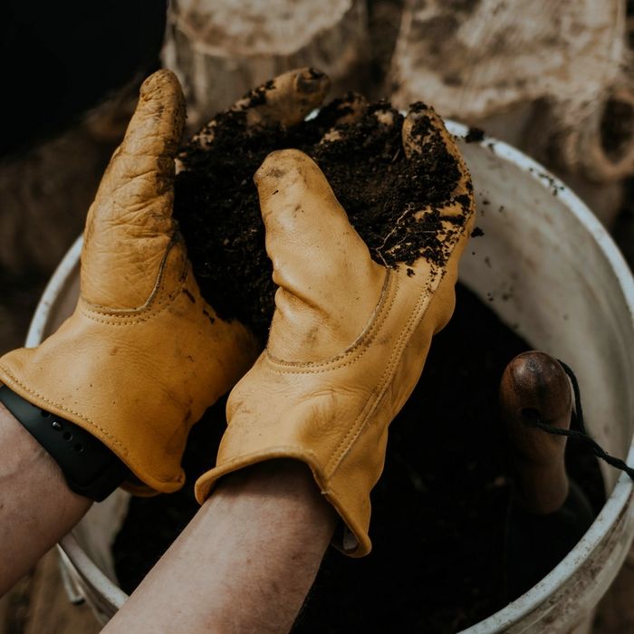 Gardening gloves