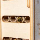 DIY Bee Hotel Kit