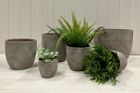 Indoor and outdoor Planters