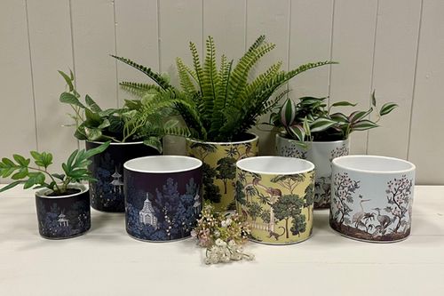 Indoor Pots & Vases