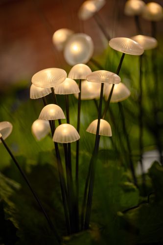 Woodland Solar Mushrooms