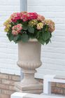 Outdoor pots - Clayfibre