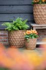 Outdoor pots - Clayfibre