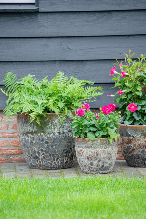 Outdoor pots - Glazed