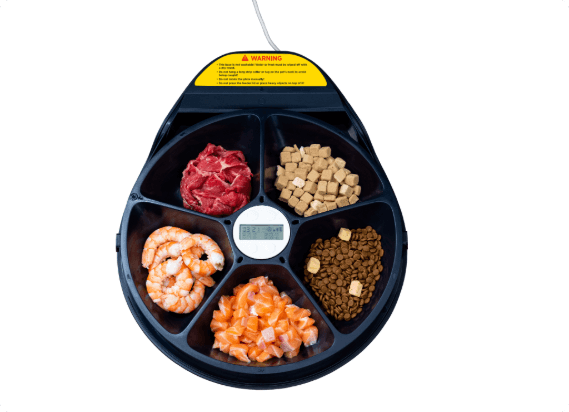 UBPet Refrigerated Wet Food Feeder