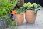 Outdoor pots - Terracotta