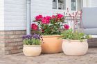 Outdoor pots - Terracotta