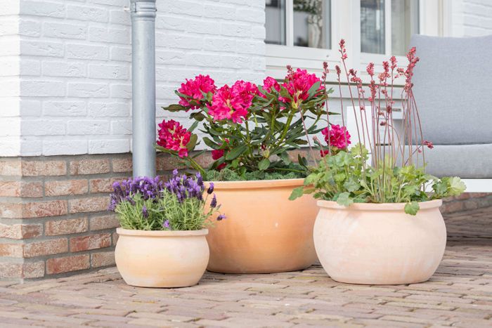 Outdoor pots - Terracotta