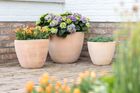 Outdoor pots - Terracotta