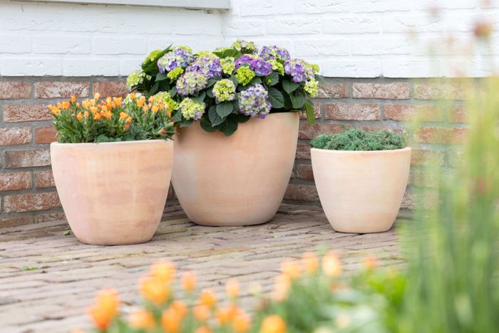 Outdoor pots - Terracotta