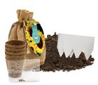 Bee Friends Seed Starter Gift Sets