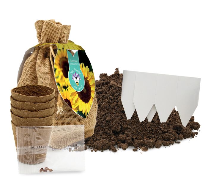 Bee Friends Seed Starter Gift Sets