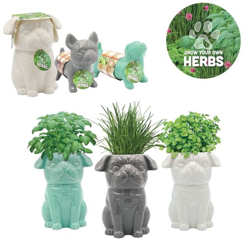 Grow Your Own... Novelty Herb Gift sets