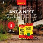 Insecto Ant Bait Stations