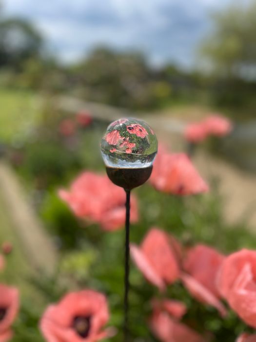 Bespoke Photography Ball Stake