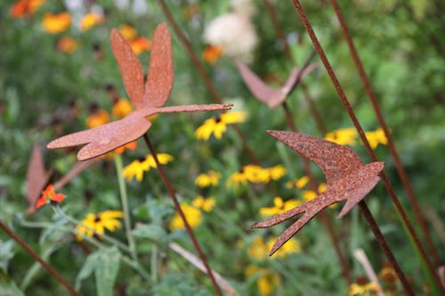 Selection of interesting birds/insects available