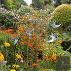 Selection of interesting birds/insects available