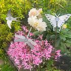 Selection of interesting birds/insects available