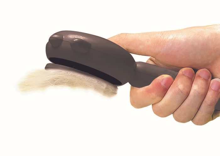 Pet Brush