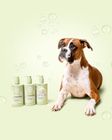 WAGS 450ml Shea & Honey Shampoo