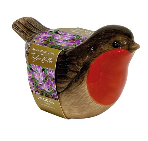 Novelty Robin Planter