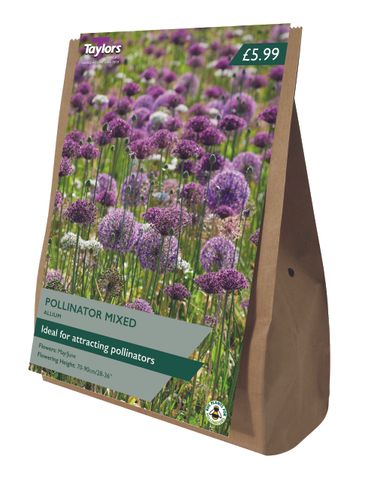 Allium Pollinator Mix Value Bag