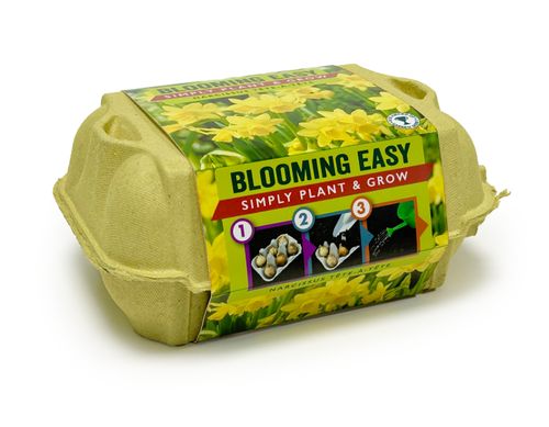 Blooming Easy plant and grow