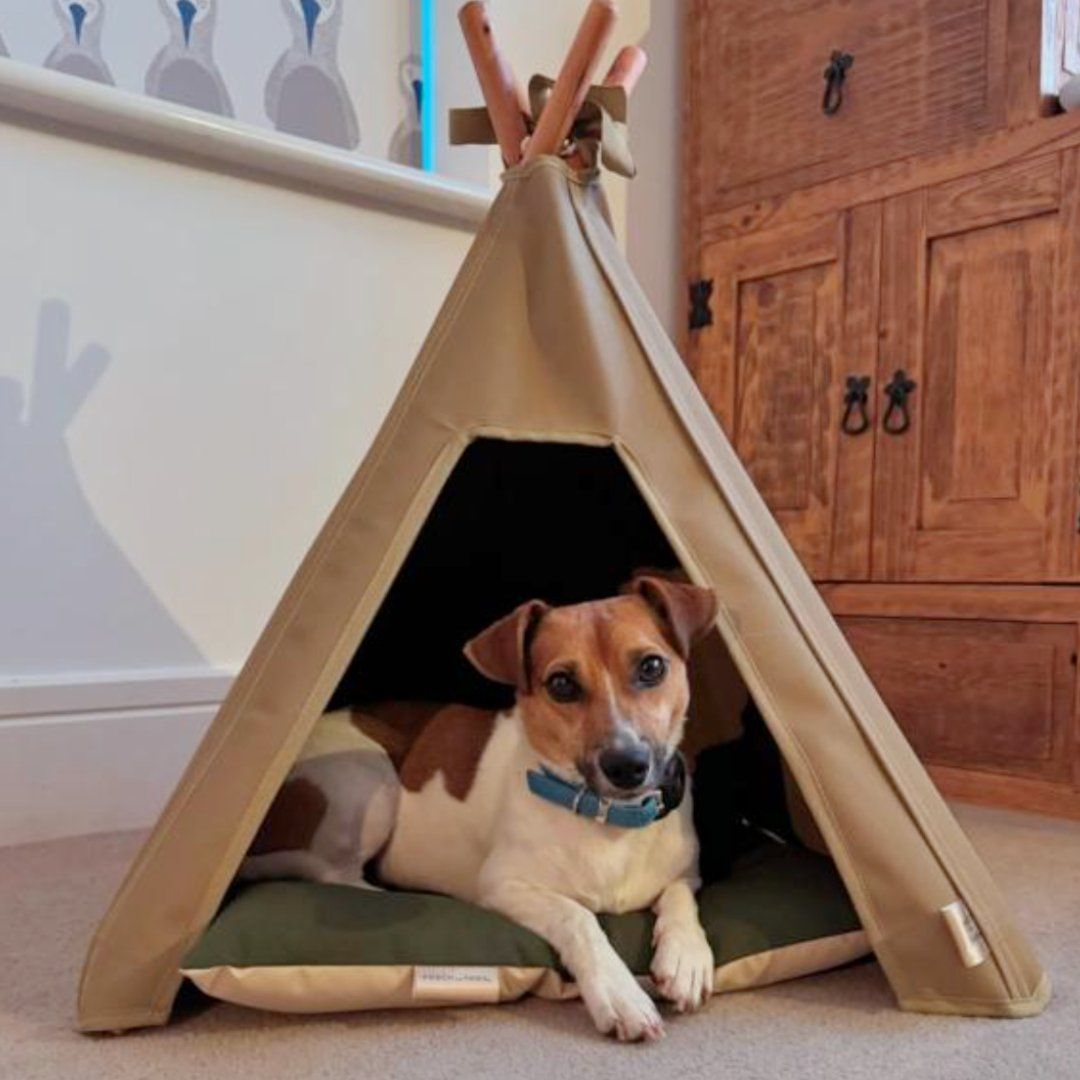 Dog Teepee & Mat Combination