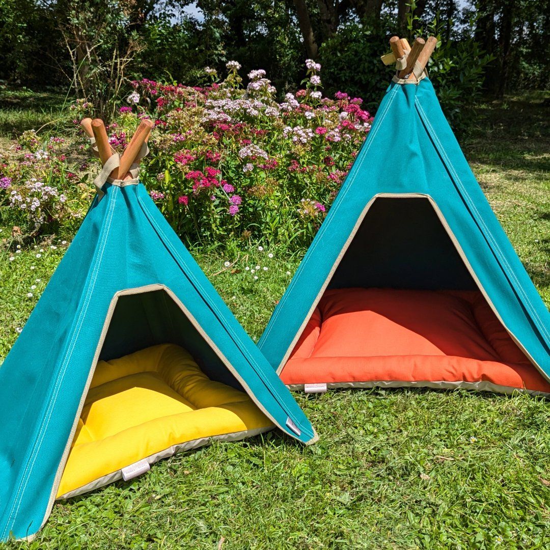 Dog Teepee & Mat Combination