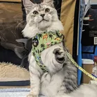 Cat Zoo Harness