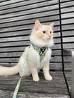 Cat Zoo Harness