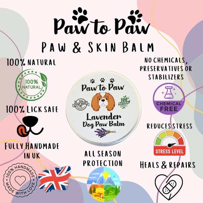 Dog Lavender Paw Balm