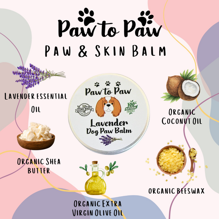 Dog Lavender Paw Balm