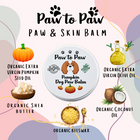 Dog Pumpkin Paw Balm