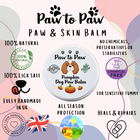 Dog Pumpkin Paw Balm