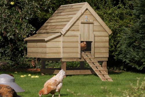 Large Chicken Coop