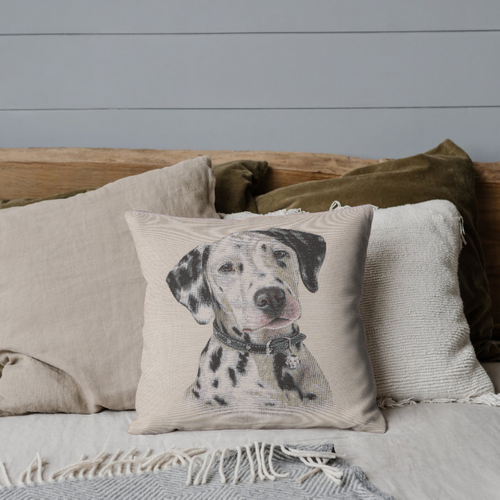 Woven Dog Cushions